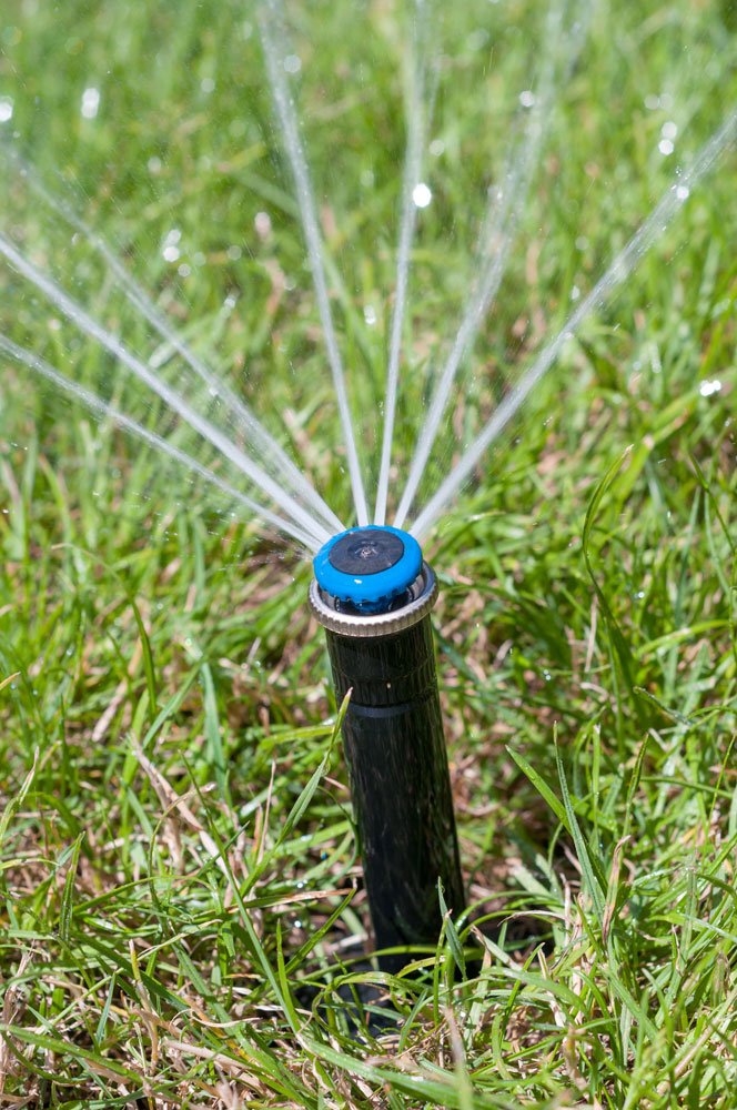 future green irrigation calgary 45